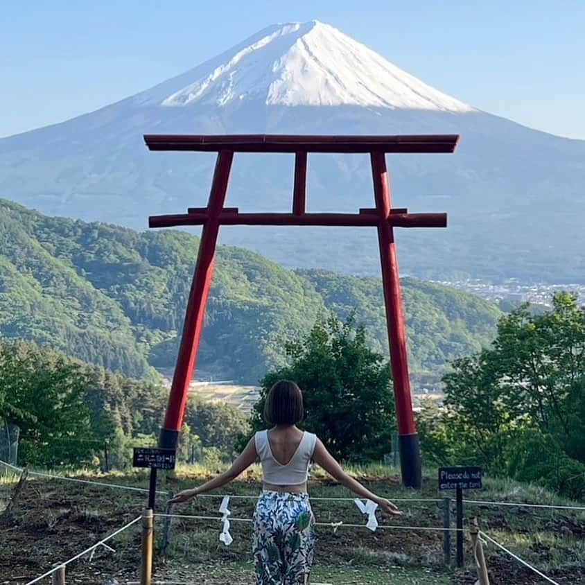 長谷川朋美さんのインスタグラム写真 - (長谷川朋美Instagram)「4ワン連れてロードトリップ♪ 前から一度してみたかったこと✨ 叶いましたー🥹  まずこちらは河口湖❣️  天気が良くてとにかく富士山が くっきり、ぱっつんっ！🗻  この日は私たちの吉方位旅行でもあり 2人でダブル吉方位😆  運気爆上がりそうな写真をゲット👍  4ワンとの家族写真撮れて嬉しい☺️❤️  ロードトリップはまだまだ続きまーす🚙  #山梨県 #yamanashi #河口湖 #kawaguchiko #mtfuji #富士山 #開運 #運気爆上げ #吉方位 #吉方位旅行 #ロードトリップ #浅間山神社 #天空の鳥居」5月24日 21時36分 - hasegawa.elena.tomomi