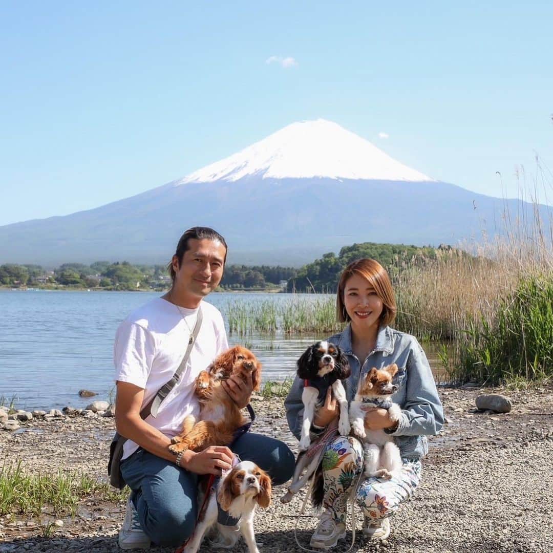 長谷川朋美さんのインスタグラム写真 - (長谷川朋美Instagram)「4ワン連れてロードトリップ♪ 前から一度してみたかったこと✨ 叶いましたー🥹  まずこちらは河口湖❣️  天気が良くてとにかく富士山が くっきり、ぱっつんっ！🗻  この日は私たちの吉方位旅行でもあり 2人でダブル吉方位😆  運気爆上がりそうな写真をゲット👍  4ワンとの家族写真撮れて嬉しい☺️❤️  ロードトリップはまだまだ続きまーす🚙  #山梨県 #yamanashi #河口湖 #kawaguchiko #mtfuji #富士山 #開運 #運気爆上げ #吉方位 #吉方位旅行 #ロードトリップ #浅間山神社 #天空の鳥居」5月24日 21時36分 - hasegawa.elena.tomomi