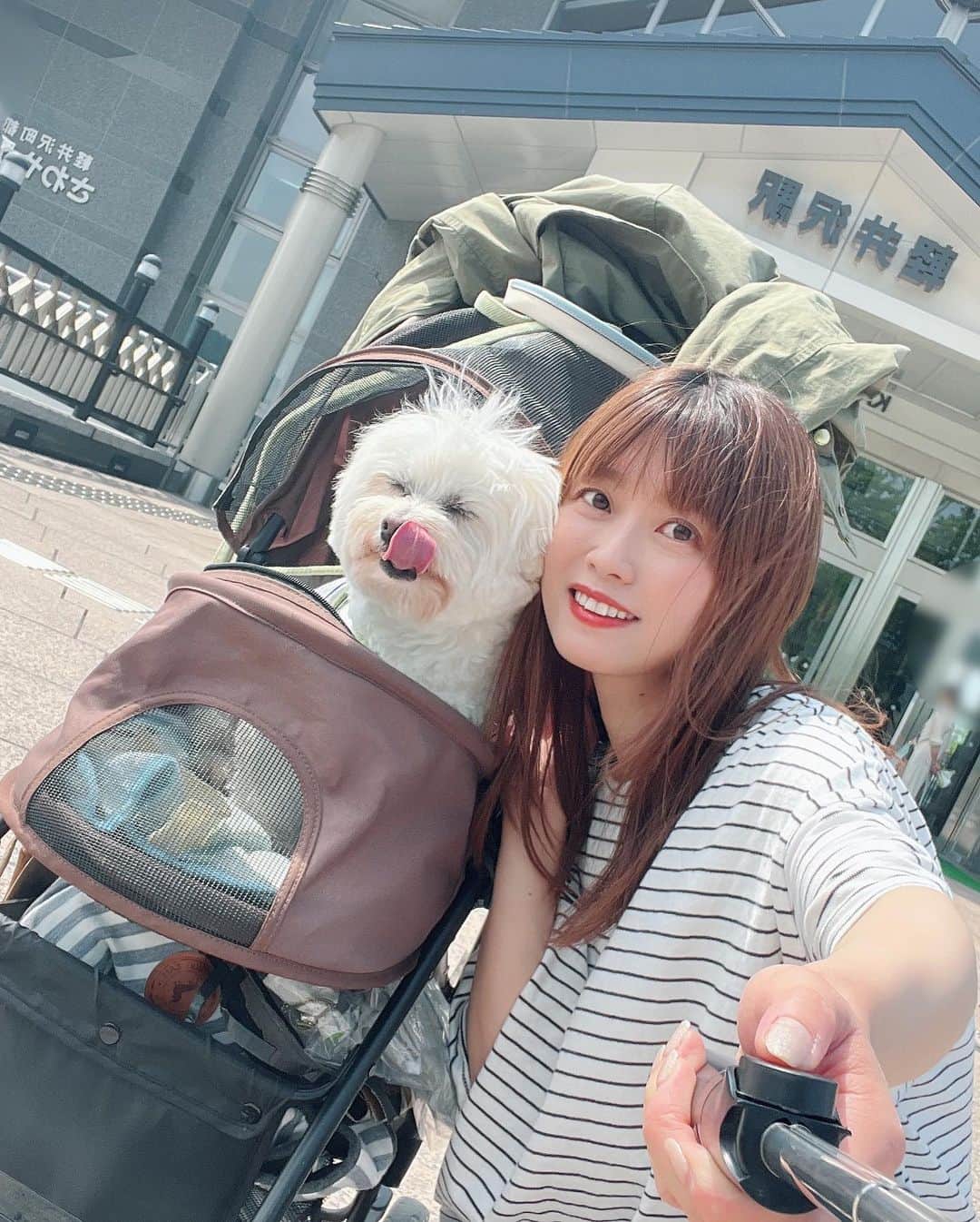 西澤由夏さんのインスタグラム写真 - (西澤由夏Instagram)「愛犬と初のふたり旅🐶🐾  大好きな軽井沢へ行ってきました🌳  他にも、サイクリングをしたり、 アウトレットに行ったり…！  緑に囲まれて心地良かったな〜🌱  Tシャツも部屋着もお揃いです☺︎  #旅行 #軽井沢 #愛犬 #マルチーズ」5月24日 22時00分 - yknszw