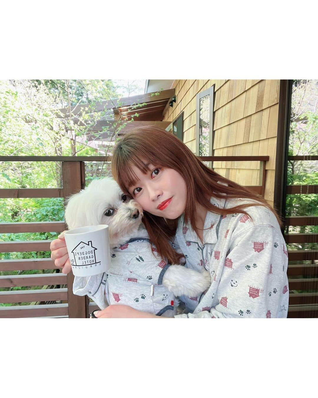 西澤由夏さんのインスタグラム写真 - (西澤由夏Instagram)「愛犬と初のふたり旅🐶🐾  大好きな軽井沢へ行ってきました🌳  他にも、サイクリングをしたり、 アウトレットに行ったり…！  緑に囲まれて心地良かったな〜🌱  Tシャツも部屋着もお揃いです☺︎  #旅行 #軽井沢 #愛犬 #マルチーズ」5月24日 22時00分 - yknszw