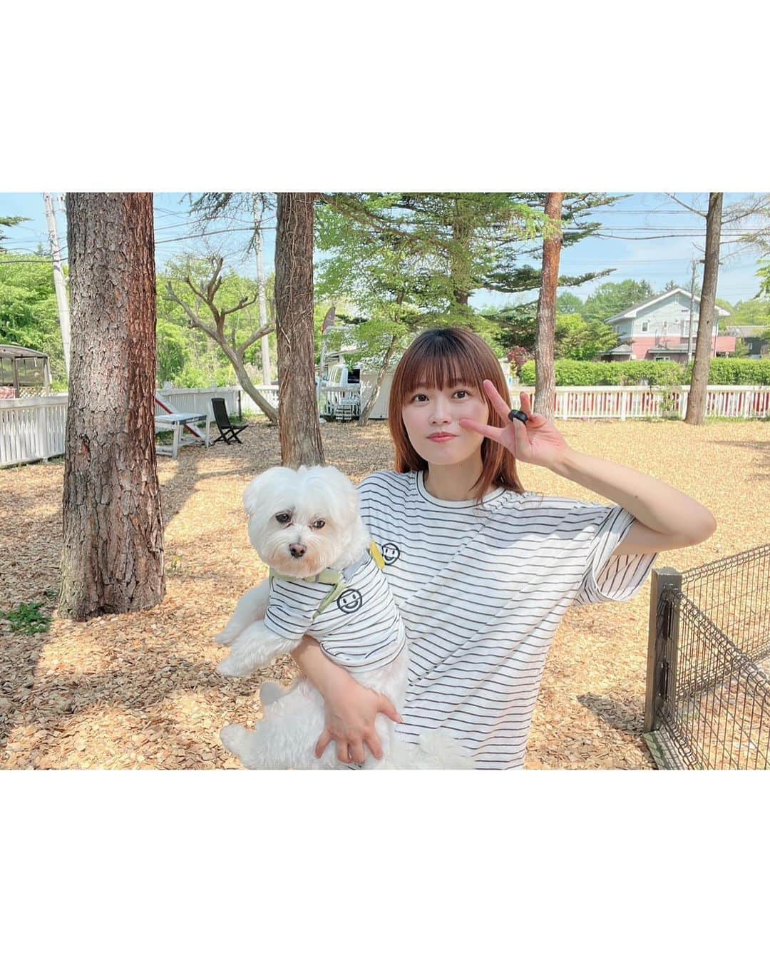 のインスタグラム：「愛犬と初のふたり旅🐶🐾  大好きな軽井沢へ行ってきました🌳  他にも、サイクリングをしたり、 アウトレットに行ったり…！  緑に囲まれて心地良かったな〜🌱  Tシャツも部屋着もお揃いです☺︎  #旅行 #軽井沢 #愛犬 #マルチーズ」