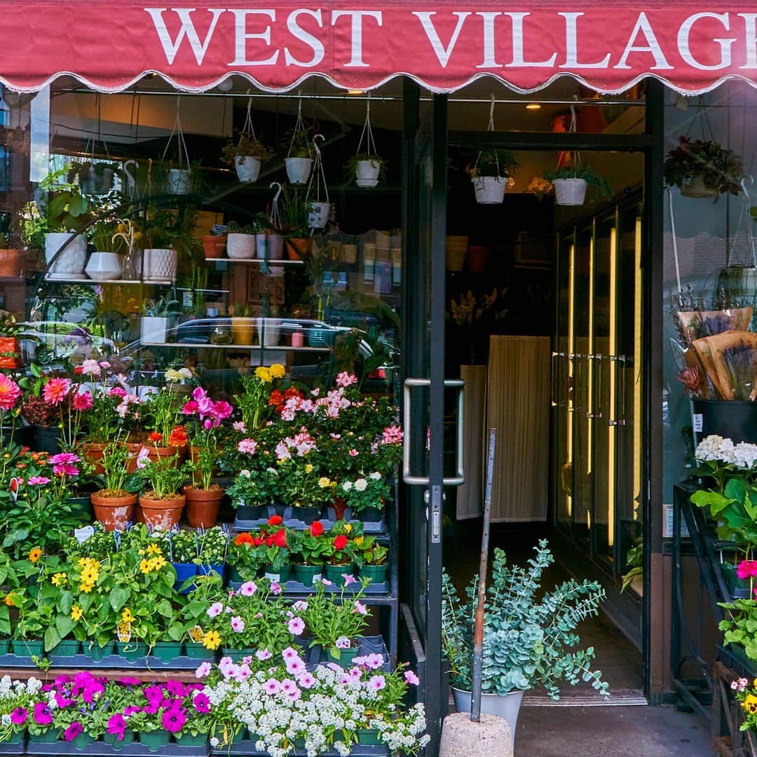 デミリーのインスタグラム：「We love springtime in NYC—when all the bodegas and plant shops are in full bloom!」
