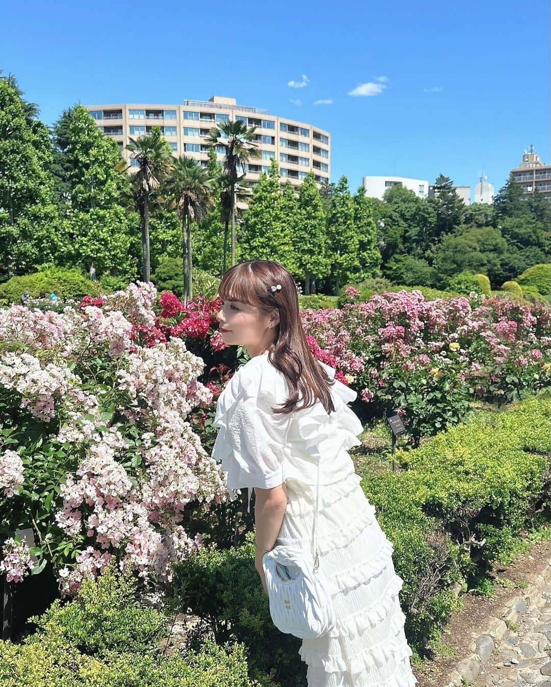 計良日向子（ひなひ）さんのインスタグラム写真 - (計良日向子（ひなひ）Instagram)「. 新宿御苑のバラ園🌹💞🤍 . . . 見頃は少し過ぎてたけど ギリギリバラ咲いてて綺麗だった🎀 今日行ってきたから、見に行く予定 ある方は早めの方がいいかもです🙆‍♀️ . . . 久しぶりに晴れていいお天気だった☀️ ただ風が強くて写真撮るの一苦労🤣 今日もたくさん歩き回った！！ . . . 👗ボレロ　@grl_official . 👗ワンピース　@sweemy_closet . 👜バッグ　@miumiu . 👡サンダル　@shein_japan . . . . #新宿御苑 #バラ園 #薔薇園 #お花畑 #お花畑コーデ #grl #グレイル #sweemycloset #miumiu #ミュウミュウ #shein購入品 #sheinコーデ」5月24日 22時26分 - kerahinako1105