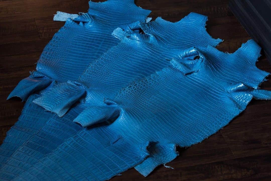 Yuya Hasegawaのグルメインスタ