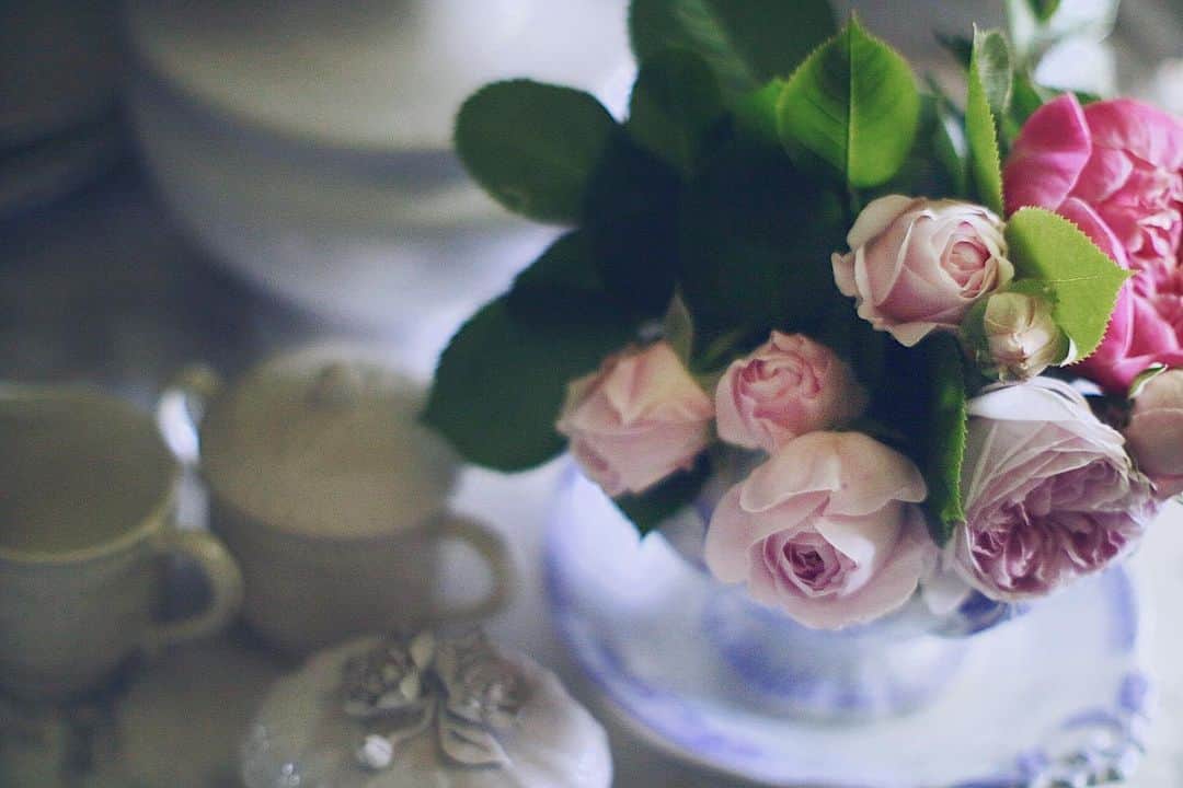 フランスアンティーク ランスタンのインスタグラム：「先日はHPの訪問、ご注文をありがとうございました。  お品物は明日発送手続きとなります。 販売中のお品もございますので、ご興味ございましたらプロフィール欄のリンクよりご覧ください。  宜しくお願い致します。  #庭の花 #🌹 #バラ #roses #roses🌹  #庭のある暮らし」