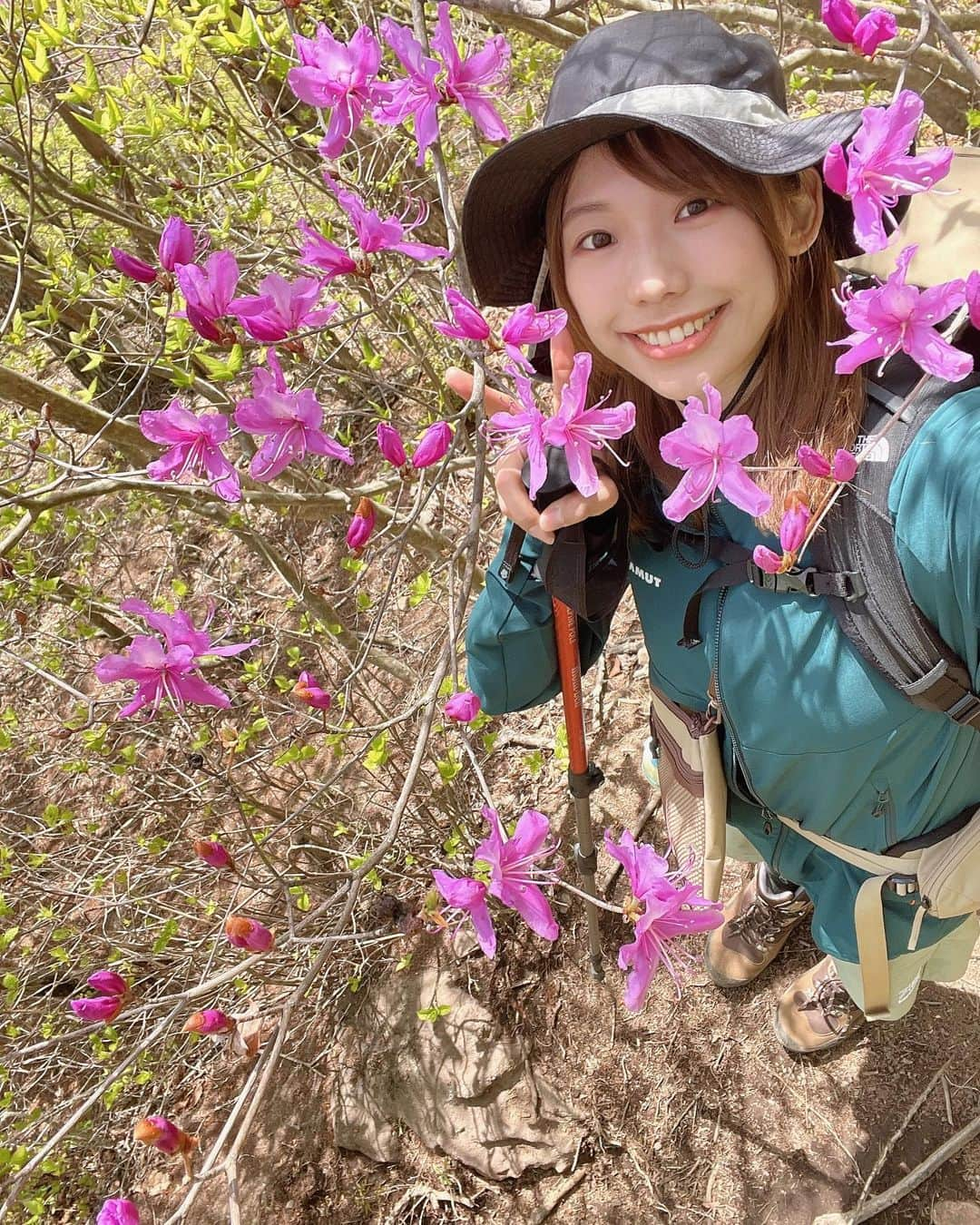 桐谷蝶々のインスタグラム：「⛰⛰⛰ ソロで茅ヶ岳に行った時の写真  この日はちょうどよいお天気☀️  山頂でのんびりお弁当やお味噌汁をいただきました🍱🍵 ほぼほぼ貸切で、いっぱい写真撮りながら登って楽しかったです！  ちょうどツツジが咲いていて、とても綺麗でした🌸 イワカガミも発見しました。小さいのでうまく撮れないのが残念。  帰りに 深田公園登山口から韮崎駅まで歩いてみたらめっちゃ暑かった〜（徒歩はオススメしません🙅‍♀️）  途中でアイス食べました🍧 それも良い思い出☺️  📍茅ヶ岳（かやがたけ） 山梨県の山　標高1704m  今回のルート 深田公園登山口→女岩（女岩迂回ルート）→山頂→千本桜→深田公園登山口 4時間45分（45分休憩）  #茅ヶ岳 #茅ヶ岳山頂 #茅ヶ岳⛰️1704m深田久弥終焉の山 #登山 #登山コーデ #登山記me #山が好き #山梨の山 #山梨百名山 #⛰️」