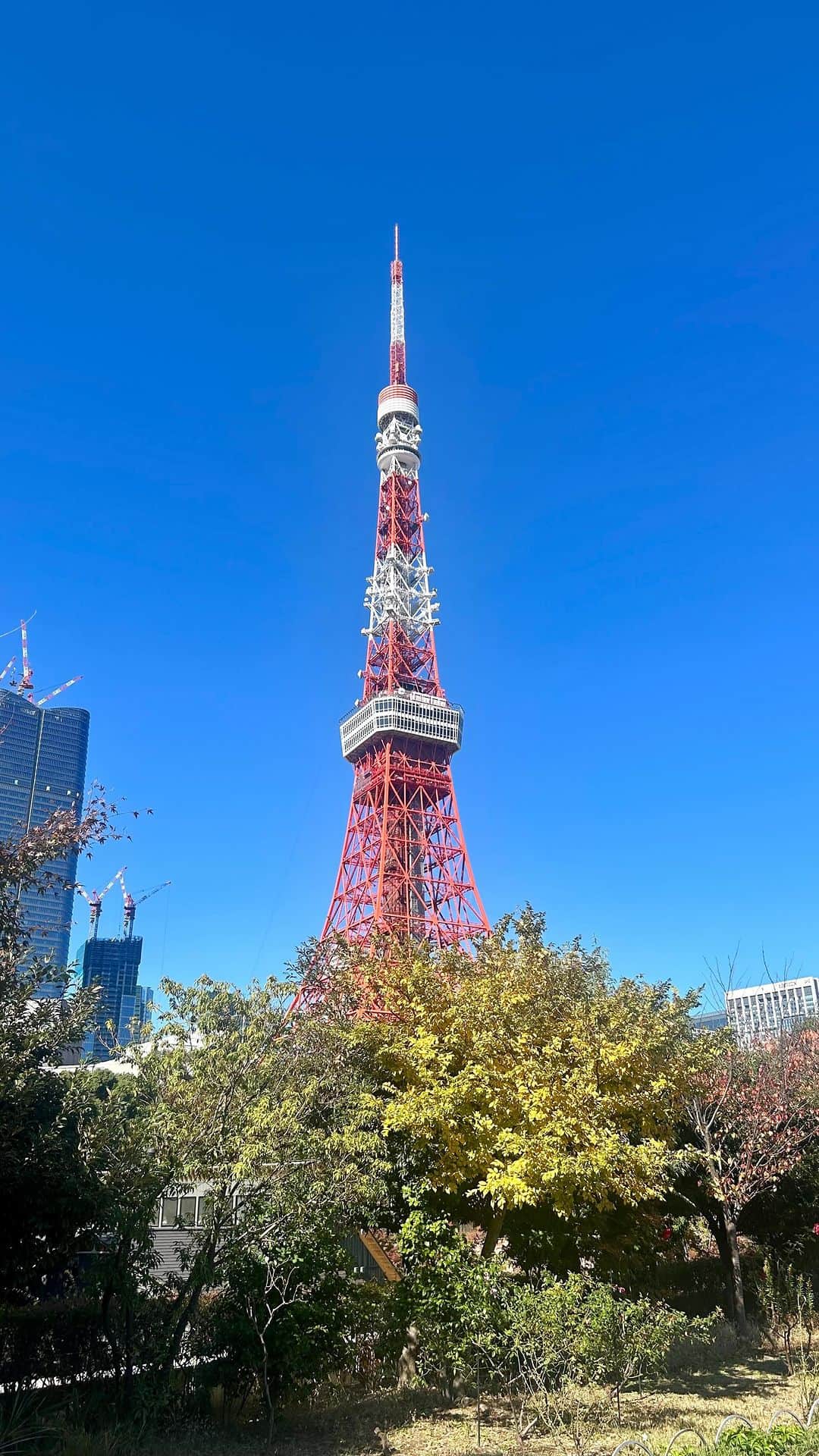 長谷川ジェニファーミラのインスタグラム