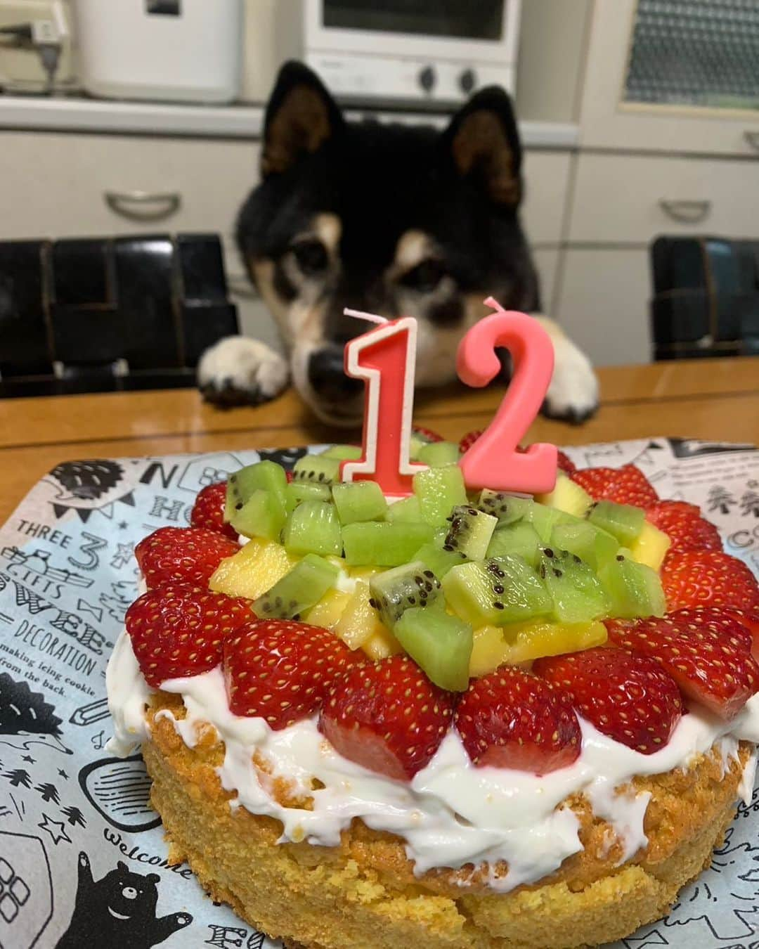 yu matsuさんのインスタグラム写真 - (yu matsuInstagram)「あおくん誕生日おめでとう🎉🎉 #年齢不詳犬 #12歳になりました」5月24日 23時47分 - hinaosora