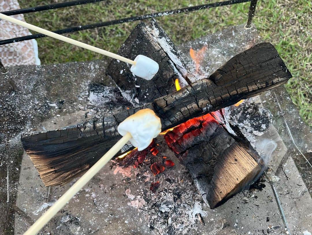 山崎はるかさんのインスタグラム写真 - (山崎はるかInstagram)「🏕✨ 机と小さな椅子と焚き火台と小さなタープのみという最小限の荷物でデイキャンしてきた時の⛺️🔥✨ 魚は直火で周りが薄く焦げるまで焼いたら中ががふわふわで焼き上がりました🐟 最高の休日〜 #キャンプ飯  #キャンプ  #camping  #キャンプ声優」5月24日 23時59分 - pyon.haruka.y