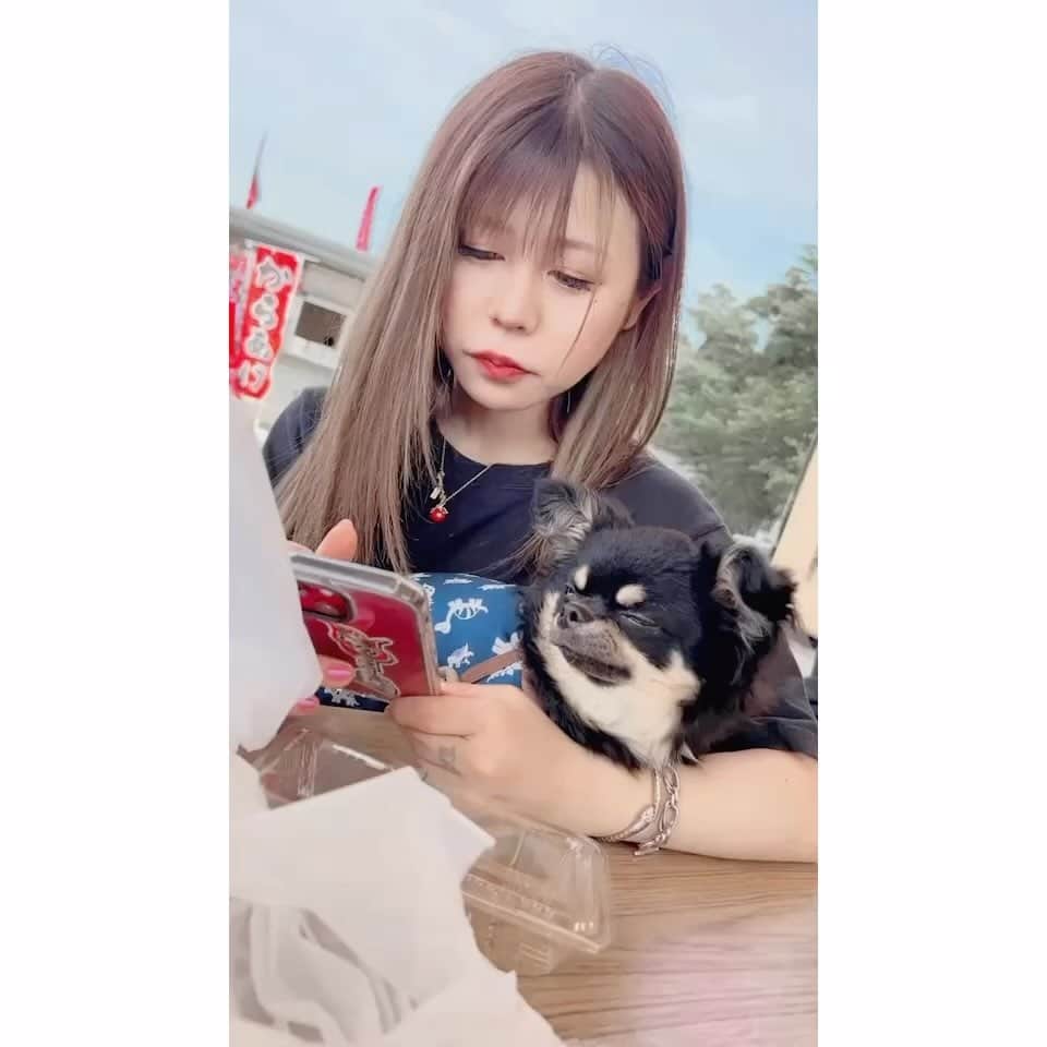 りこぴのインスタグラム：「#エビスサーキット #イッヌ #3匹 #ギャル #2匹 #からの #懐かしい #おとももち #再会 #💖 #大阪 #福島 #仙台」