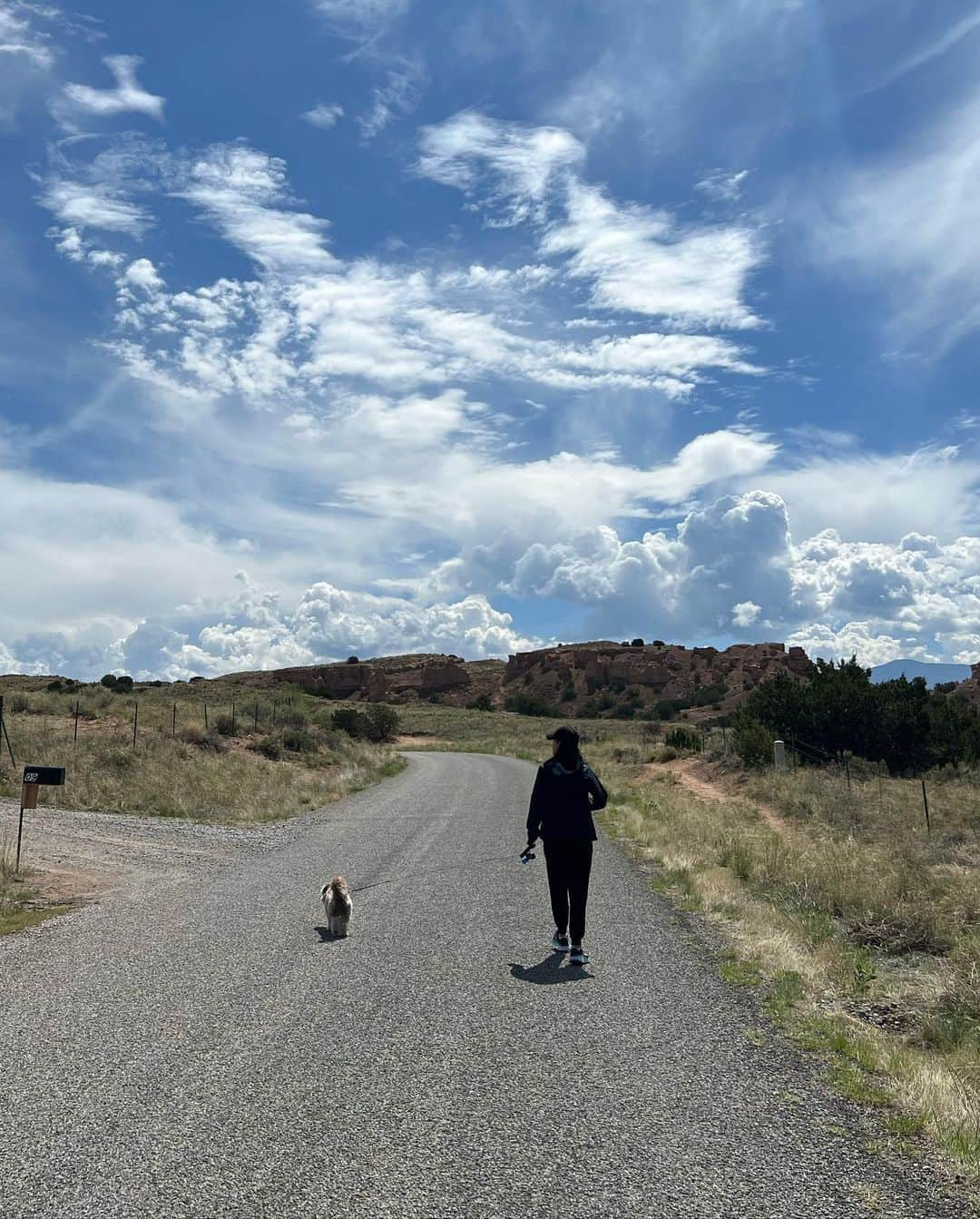 ダナイ・ガルシアさんのインスタグラム写真 - (ダナイ・ガルシアInstagram)「I ❤️ Santa Fe. 💕🪴🌱 With our divine connection we are always in touch with the solutions we are seeking. #travel #roadtrip #santafe #lawspañola #goodmorning #goodvibes #light #danaygarcia  Never forget the magic. 🧡🪴#queen」5月25日 2時43分 - danaygarcia1