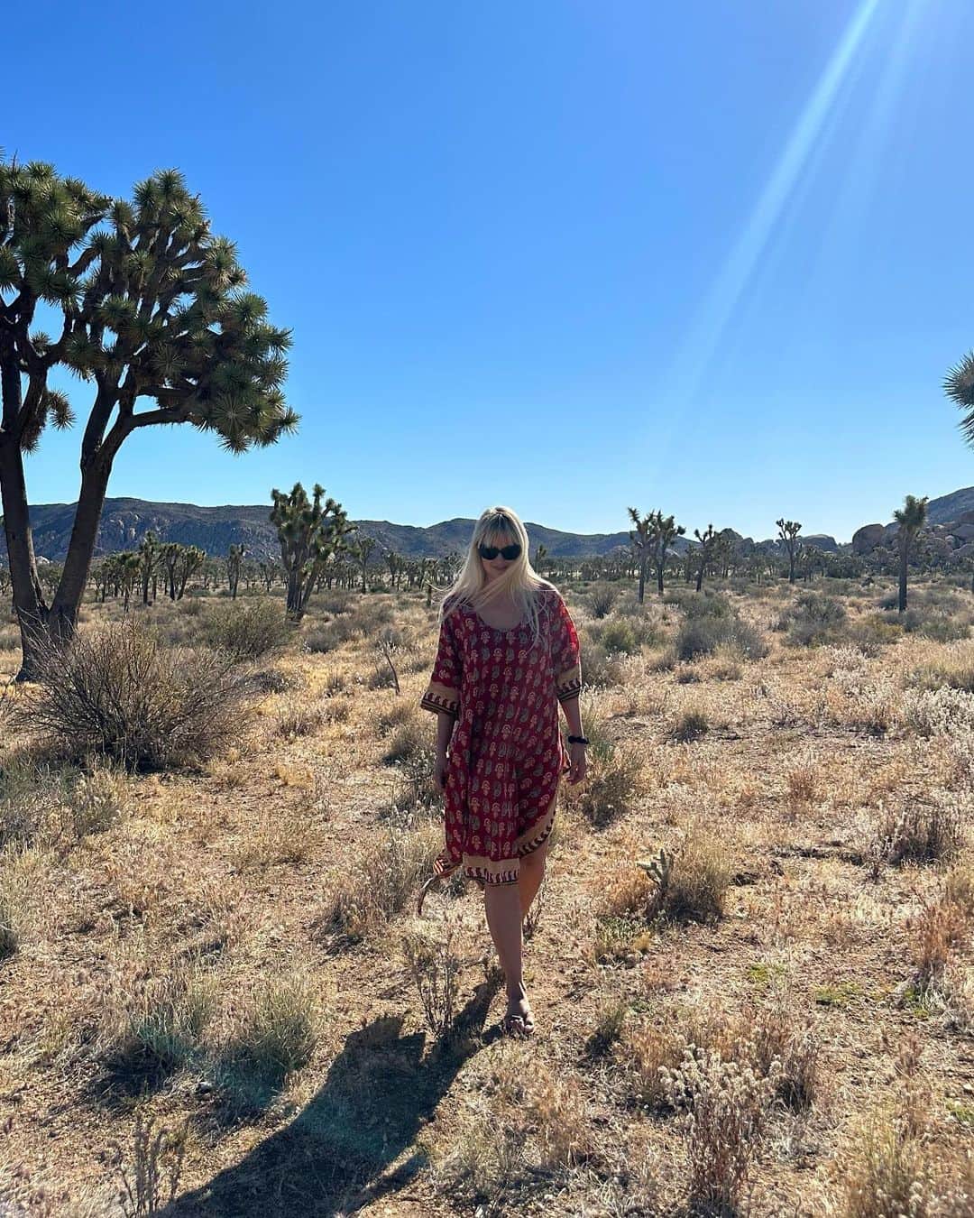 ジェネビーブ・モートンのインスタグラム：「🌵」