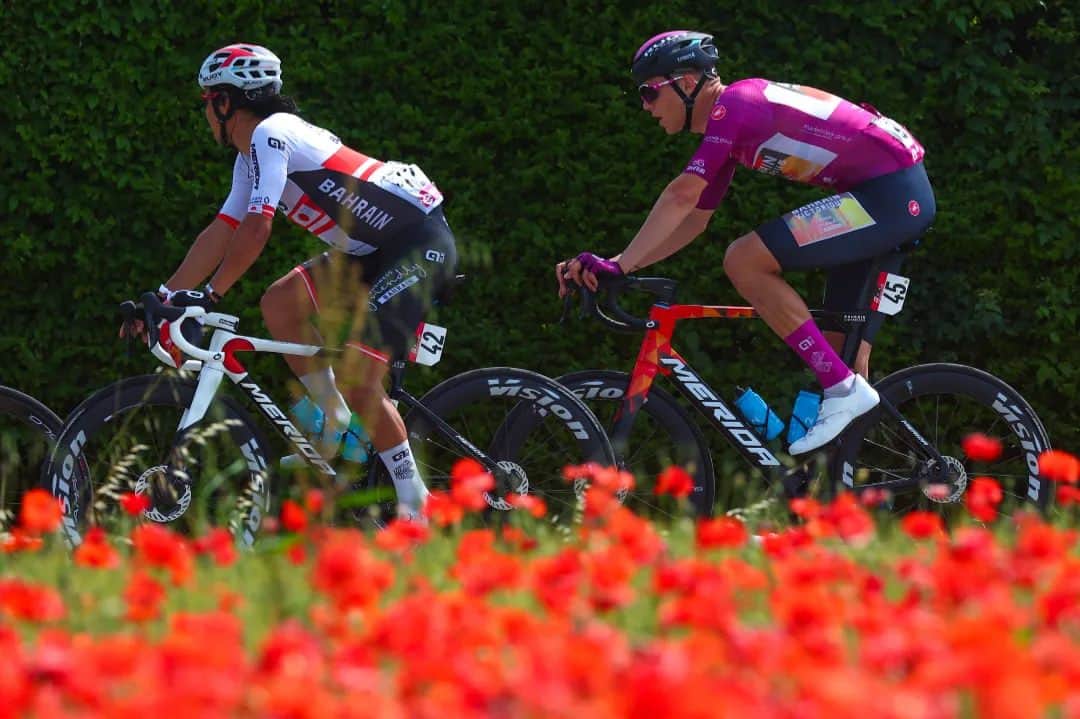 のインスタグラム：「Stage17 @giroditalia ✅  Photo : @sprintcycling  #giroditalia #Giro2023 #RideAsOne  #ジロ #イタリア  @teambahrainvictorious  @cn_bahrainvictorious」