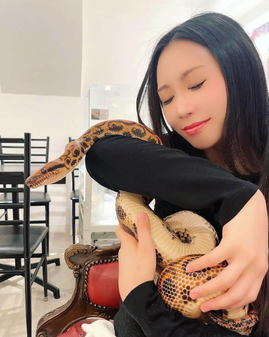中沢ルイのインスタグラム