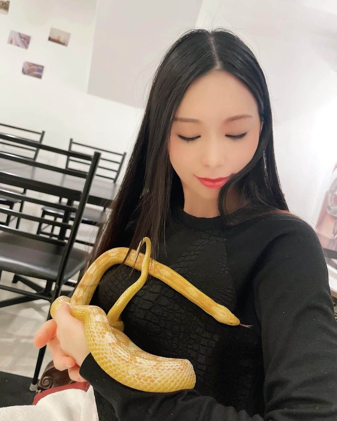 中沢ルイさんのインスタグラム写真 - (中沢ルイInstagram)「おてんば甘夏ちゃん  #tokyosnakecenter #ヘビカフェ #爬虫類カフェ #蛇好き #べびすたぐらむ #snake #原宿カフェ #蛇好きな人と繋がりたい #ズー東京 #zootokyo #中沢ルイ #六本木 #東京 #tokyo #キャバ嬢 #キャバクラ嬢 #キャバクラ #六本木キャバ嬢 #六本木キャバクラ #美女 #モデル #かわいい #fashion #selfie #東京グルメ #japanesegirl #japanesefood #instagramers #influencer #followme」5月25日 6時29分 - ruinakazawa