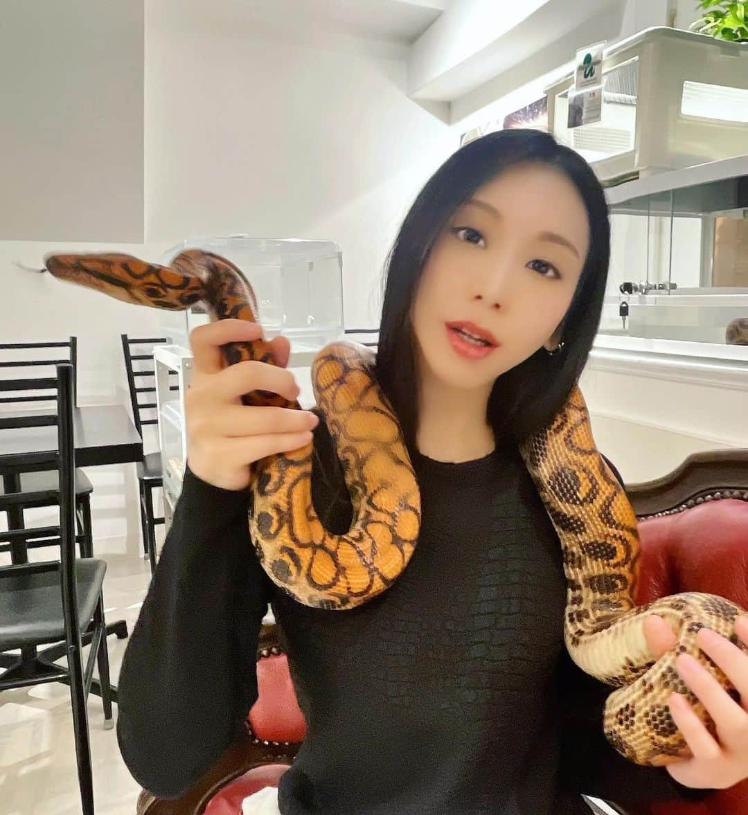 中沢ルイさんのインスタグラム写真 - (中沢ルイInstagram)「ニジコちゃーん目線くださーい  #tokyosnakecenter #ヘビカフェ #爬虫類カフェ #蛇好き #べびすたぐらむ #snake #原宿カフェ #蛇好きな人と繋がりたい #ズー東京 #zootokyo #中沢ルイ #六本木 #東京 #tokyo #キャバ嬢 #キャバクラ嬢 #キャバクラ #六本木キャバ嬢 #六本木キャバクラ #美女 #モデル #かわいい #fashion #selfie #東京グルメ #japanesegirl #japanesefood #instagramers #influencer #followme」5月25日 6時44分 - ruinakazawa