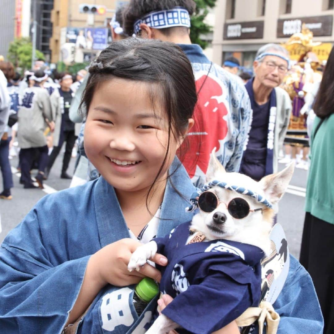 紋次郎さんのインスタグラム写真 - (紋次郎Instagram)「祭りなお子達 2023 可愛いしかない🥰👍  #dog#dogstagram#instadog#chihuahua#barkbox#mydogiscutest#buzzfeed#dog_features#fluffypack#barkpack#dogsofinstagram#犬#チワワ#手作り#handmade#着物#fashion#紋次郎一家#チーム茶#ふわもこ部#igersjp#peco犬部#dogfashion #whisky#三社祭 #神田祭」5月25日 7時27分 - montjiro