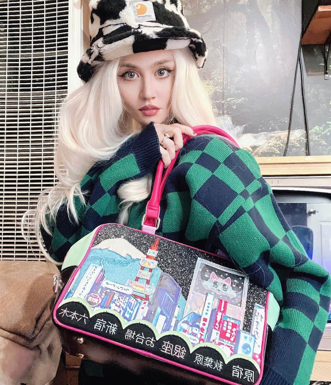 アリソン・ハーバードのインスタグラム：「new purse by my forever fav @irregularchoice 💕🐱」