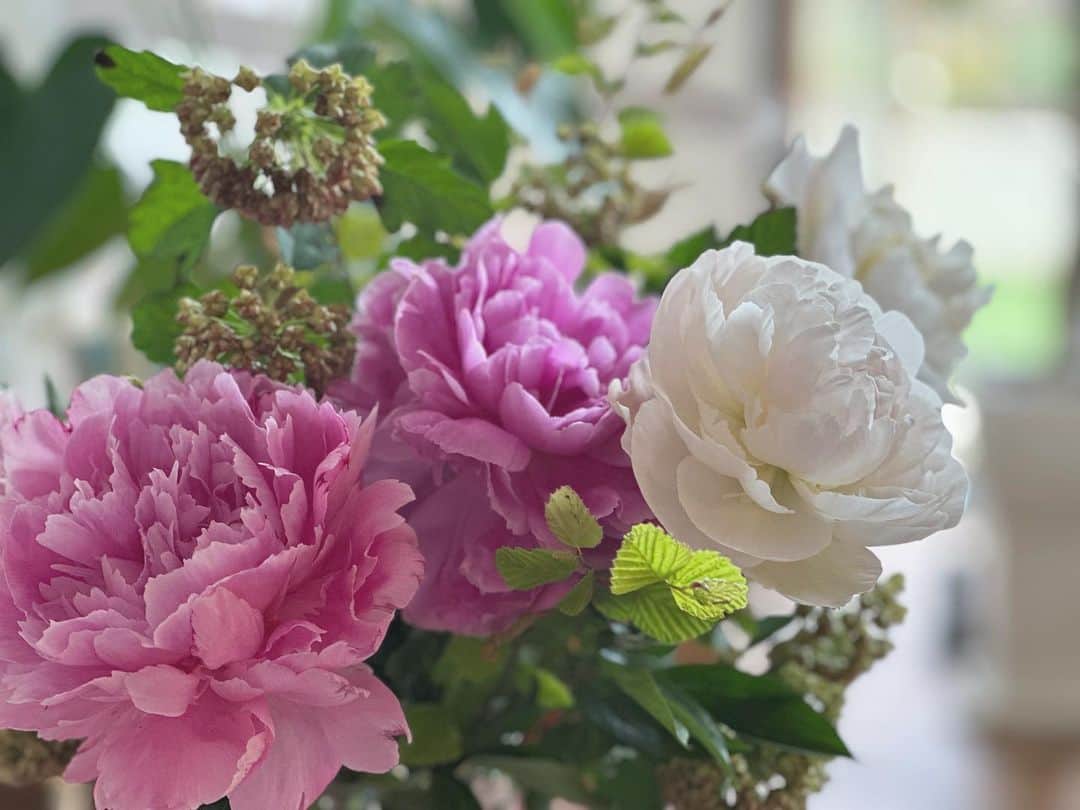 徳永有美さんのインスタグラム写真 - (徳永有美Instagram)「きれいなお花を頂きました😊  子供を通して知り合った繋がり。 子供たちの成長をみんなで喜んだり驚いたり共有できる幸せ。 かれこれ10年以上のお付き合いになるね…心強い。  今日もがんばろう💪」5月25日 8時37分 - yumi_tokunaga.official