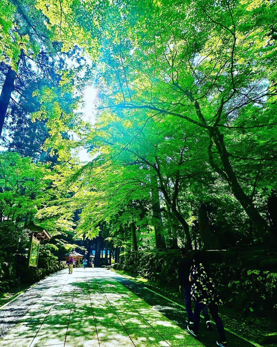 谷川じゅんじさんのインスタグラム写真 - (谷川じゅんじInstagram)「Sprouting green. 萌える緑、湧き上がる清水。春真っ盛りの禅の里。永平寺の春はどこを見ても目に優しい。清々しいってこれなのね。 #eiheiji #zen #goodvibesonly #goodneighbors #thisisjapan」5月25日 9時09分 - junjitanigawa