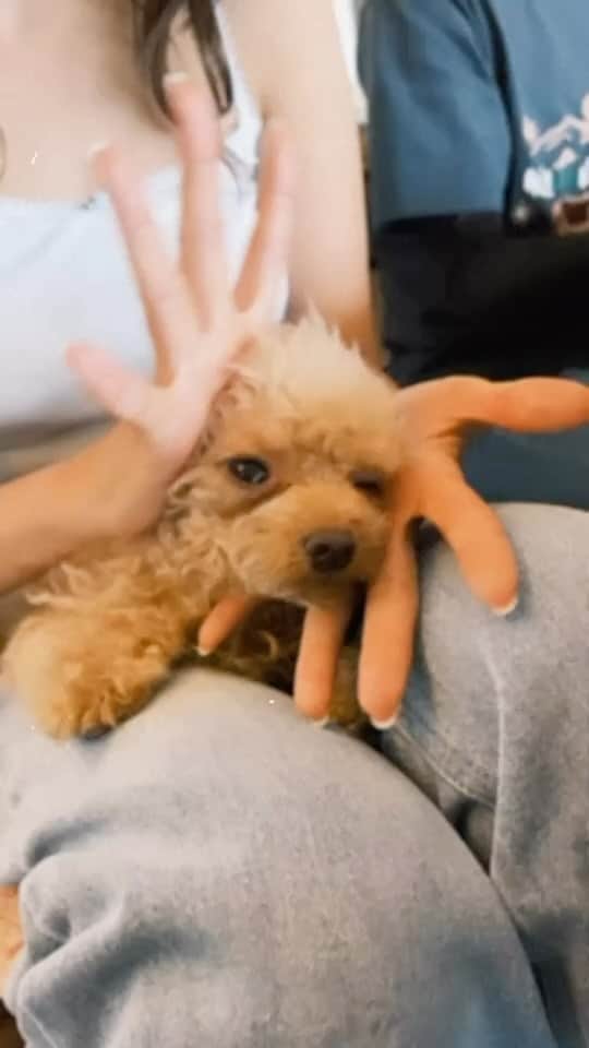 紗栄子のグルメインスタ