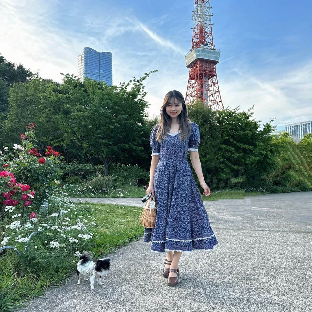 ほのぴすさんのインスタグラム写真 - (ほのぴすInstagram)「歯が白いと顔が明るく見えるよねーー！⁡ なんとなく！🦷❤️⁡ 写真はププちゃんとめんまちゃんとお散歩行ってきた時の写真だよん！⁡ ⁡ ちょうど歯磨き粉今使ってたやつ使い切ったところにライオンさん　@lion_lightee　から歯磨き粉いただいた! ⁡ わーいありがとうございます🥺⁡ ⁡ Lightee ハミガキ PREMIUMっ ていう商品なんだけど、ブラッシングすると、 着色汚れを「落とす」働きに「つきにくくする」働きもある美白*¹歯磨きなんだって〜！！🪥⁡ ⁡ え？どう言うこと?⁡ って言うと、、、⁡ 歯の表面にできるめちゃくちゃ小さいキズに残る着色汚れって意外と、⁡ それのせいで歯が茶色く見えたりするんだけど、⁡ このハミガキで磨くと、そういう汚れまで徹底除去してくれるらしい　　！⁡ ⁡ あと、ステイン付着抑制成分*²が入ってるから⁡ コーヒーとか紅茶の着色成分がつきにくくなるんだってさ〜！！⁡ ⁡ コーヒー紅茶よく飲む人は歯が着色しやすくなりがちだからめっちゃ嬉しいね😻⁡ ⁡ 🦷って、光が反射してキラッと綺麗に見えるでしょ！⁡ そう言う本来の明るくて白い歯に近づけてくれる歯磨き粉みたいー！⁡ ⁡ スッキリしつつも強すぎない香味が良い！⁡ 歯磨き粉選ぶときに個人的に香りは重要ｗｗｗ⁡ ⁡ 香りが良い歯磨き粉は終わった後に息してもいい香りだよねん🍇⁡ ⁡ チェックしてみてねえええ！⁡ ⁡ Lightee ハミガキ PREMIUM（ライオンデンタルペーストPa, 医薬部外品） ⁡ ⁡ *¹美白…本来の歯の白さへ⁡ *²清掃助剤⁡ ⁡ #歯磨き粉 #美白歯磨き粉 #ライティー　#モーニングルーティン #白い歯 #新生活準備 #朝活記録 #オーラルケア #LighteePREMIUM #新発売 #新作　#Lightee #PR」5月25日 18時30分 - noponopisu2