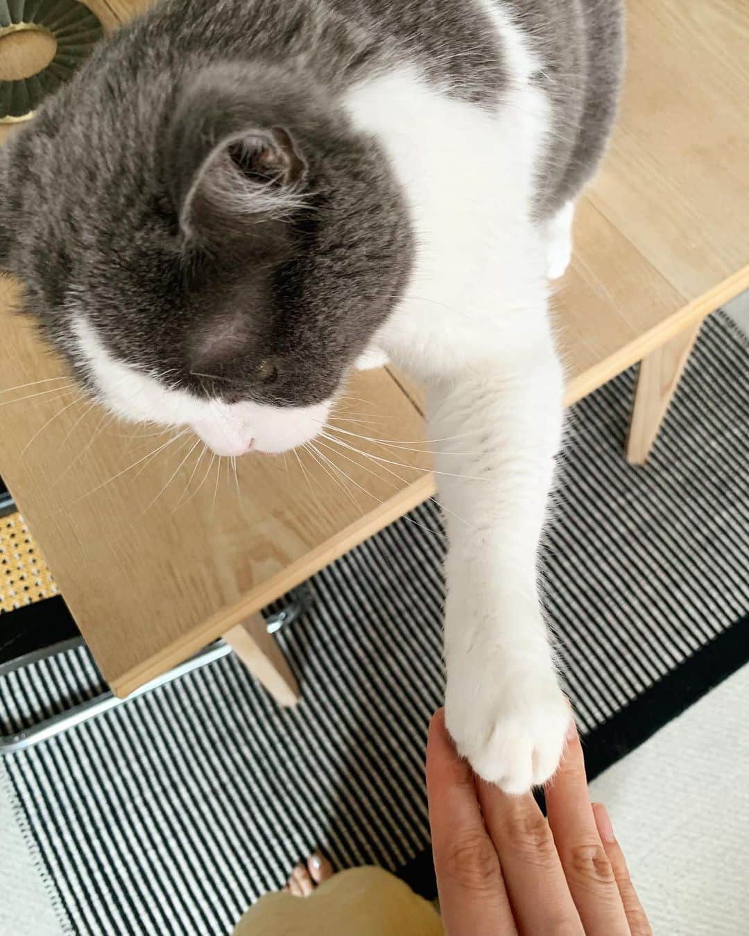 小谷実由のインスタグラム：「ハイタッチ(爪有)」
