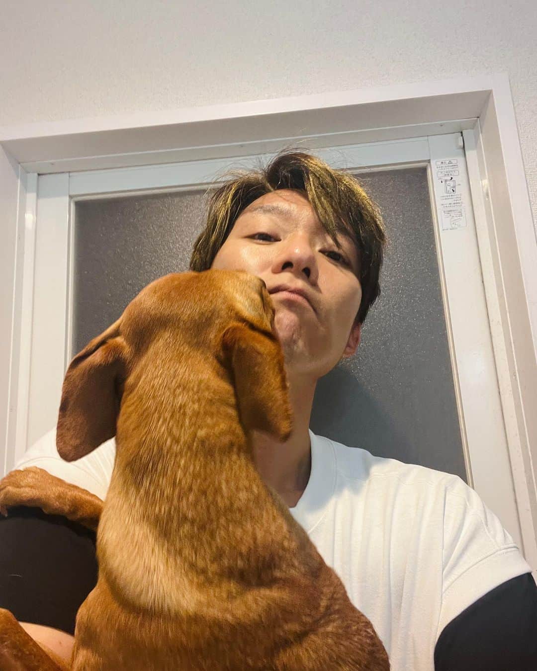 広音さんのインスタグラム写真 - (広音Instagram)「たまに可愛すぎて噛みたくなるのは、私だけでしょうか？ ※もちろん、本気で噛むことはありませんが。 #愛犬 #可愛すぎるんですけど」5月25日 11時12分 - hiroto_speaker