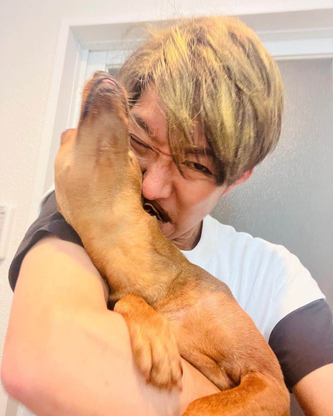 広音さんのインスタグラム写真 - (広音Instagram)「たまに可愛すぎて噛みたくなるのは、私だけでしょうか？ ※もちろん、本気で噛むことはありませんが。 #愛犬 #可愛すぎるんですけど」5月25日 11時12分 - hiroto_speaker