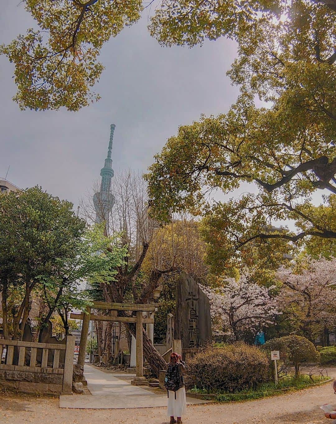 東京カメラガールズさんのインスタグラム写真 - (東京カメラガールズInstagram)「3/31(金) サポーターズメンバー @yuko__chococo さん企画のイベント『親子で楽しむ✨桜とスカイツリー』が開催されました。 浅草駅に集合して、スカイツリーの見える公園で親子同士で撮りあいっこをしたり、フォトウォークを楽しんだ様子。 子どもたちもカメラを持って、気になる景色をパシャリ📷💕お天気にも恵まれて最高なカメラ日和ですね☀  「春休みの最高な思い出になりました💕」 「親子でカメラを楽しめる貴重な機会で、とても楽しかったです！また親子で参加したいです！」 と嬉しい声が沢山届いています。親子イベント、大好評です✨  全国各地で沢山のイベントを企画中！ ぜひプロフィール欄のcamell（カメル）公式WEBサイトからぜひチェックしてみてくださいね😊  初めての方も大歓迎✨ ご参加お待ちしております📷💕  _______________ ■camellとは？ 12,000人が参加するカメラ女子コミュニティカメラガールズが、 camell（カメル）になりました。 ＼メンバー大募集中／ @cameragirls_jp _______________ ■camelltownとは？ camellとしての活動をさらに楽しむための写真コミュニティ。 毎月10以上のイベントや、講座、コラボ企画などを実施中！ ＼第二期メンバー募集中／ @camelltown _______________ ■camellhouseとは？ @camellhouse camellが運営する写真のアトリエのようなおうち。camelltownメンバーになると、使い放題になります。1Fは店舗準備中！ 公式キャラクターまめるが住んでいます。 東京江東区亀戸5-24-24 JR総武線 亀戸駅から徒歩6分 . . /////////////////////////////////////////// ▼ご興味があれば camell(カメル)WEBサイトから無料登録をお願いします😊  #camell #カメル #camelltown #camellhouse #まめる #🐻 #camell会報誌 #サポーターズレポート #東京 #スカイツリー #親子イベント #桜」5月25日 11時33分 - tokyocameragirls