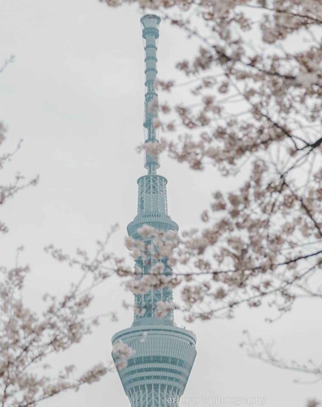 東京カメラガールズのインスタグラム