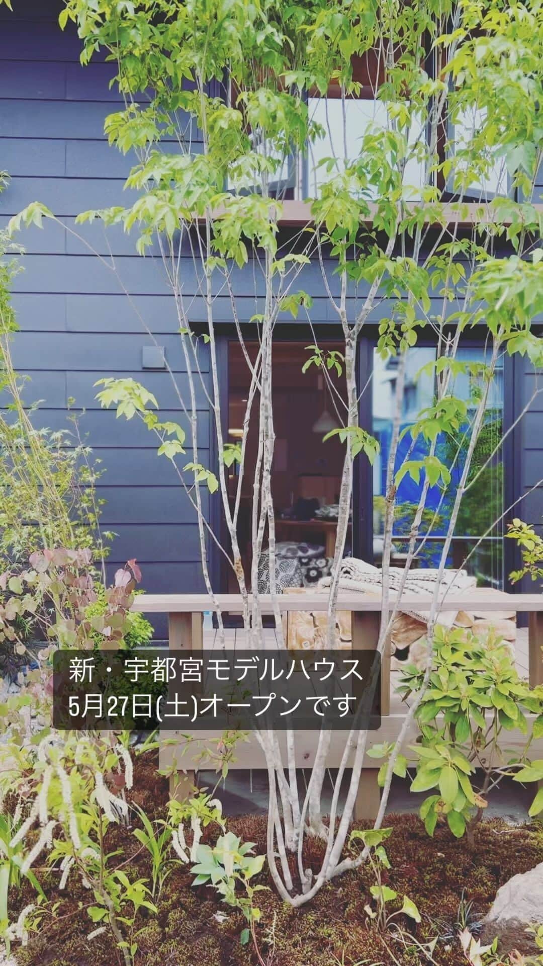 ネキストホームのインスタグラム：「宇都宮市竹林町の分譲地内に建築中のモデルハウスが、5月27日土曜日にオープン致します。植栽工事も終わり、インテリアの準備をしております。  5/27,28の二日間は、ご予約不要の見楽会を開催致しますので、お好きな時間にお越し下さい。  時間は10:00から17:00まで。  詳しくは、プロフィールの ◯ハイライトからwebページをご覧下さい。  #BEAHAUS #ダイニングテーブル #モデルハウスオープン準備   モデルハウスの場所はGoogleMapで「ネクストハウスデザイン宇都宮モデルハウス」で検索出来ます。  - - - - - - - - - - - - - - - - - - - -  ・ 時を超えた、 新しいスタンダード。 ・ - - - - - - - - - - - - - - - - - - - -  more photos → @nexthausdesign1947 - - - - - - - - - - - - - - - - - - - -  ・ ネクストハウスデザインは心地よい木の家を、お客様と一緒につくる、平屋の注文住宅を中心とした、1947年に創業した宇都宮市の工務店 です。BinO加盟店 ・ 無垢材やモイスなどの自然素材を使い、そのご家族の暮らし方に合わせた心地よい暮らしをご提案しています。 ・ そんな家づくりを実際に体感できるモデルハウスがありますので、ぜひご見学ください。 ・ あなたの理想のマイホームの答えが私たちの家づくりにあります。 ・ 新築用の土地探しから住宅ローン等の資金計画まで、DMやメール、お電話等でいつでもご相談ください。 ・ マイホーム計画中の方は、HPより資料請求して頂ければ、コンセプトブック等をお届けいたします。 ・ ↓のプロフィール欄からHPに移動できます。 ・ - - - - - - - - - - - - - - - - - - - -  @nexthausdesign1947 - - - - - - - - - - - - - - - - - - - -  ・ 施工対応エリア ・ 栃木県全域 宇都宮市、さくら市、真岡市、下野市、日光市、那須塩原市、益子町、茂木町 など 茨城県の一部 筑西市、結城市 ・ 車で1時間以内の範囲を主に施工エリアとしていますが、それ以外の地域の方もお気軽にご相談ください。  #ネクストハウスデザイン #NEXTHAUSDESIGN #BinO #自遊にくらす #注文住宅 #新築 #一戸建て  #リノベ #リノベーション #工務店 #ハウスメーカー  #木の家 #木造 #無垢材 #自然素材  #平屋 #二階建て #暮らし  #家づくり #マイホーム  #モデルハウス #土地探し #住宅ローン  #栃木県 #宇都宮市  - - - - - - - - - - - - - - - - - - - -  このインスタの管理人は世界を変える住宅屋 @mizonobe です。 家づくりに関することも、そうで無いことも ご相談お待ちしてます！」