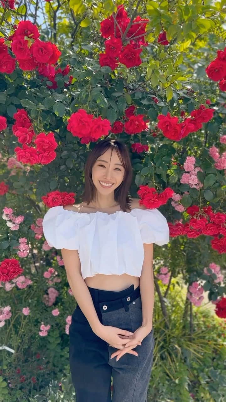 秋倉諒子のインスタグラム：「楽しい撮影でした🌹」