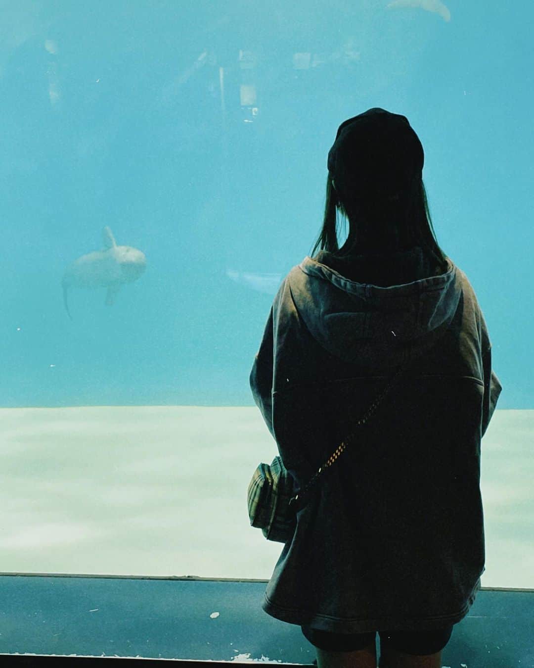 本村碧唯さんのインスタグラム写真 - (本村碧唯Instagram)「久しぶりに水族館行った スナメリちゃんが可愛くておかわりで会いに行きました ずーっと眺めてられる」5月25日 12時48分 - aoi0531.m