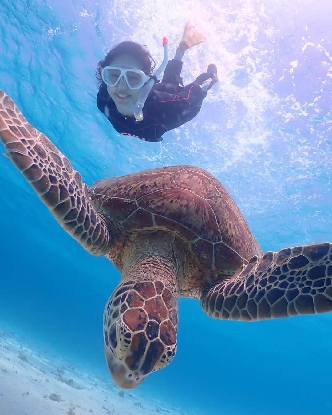 堀江聖夏のインスタグラム：「⌇‎🐋🌊𓂃 𓈒 ⁡ 念願のウミガメさんと一緒に 泳いだのっ𓆉嬉しかったなぁ〜.ᐟ.ᐟ ⁡ どんどん暑くなってくるから 海に入りたくなるよねっ🥺 ⁡ ________________________________ #宮古島 #沖縄 #伊良部島 #miyakojima  #海 #宮古島旅行 #宮古ブルー  #okinawa #ダイビング #ウミガメ」