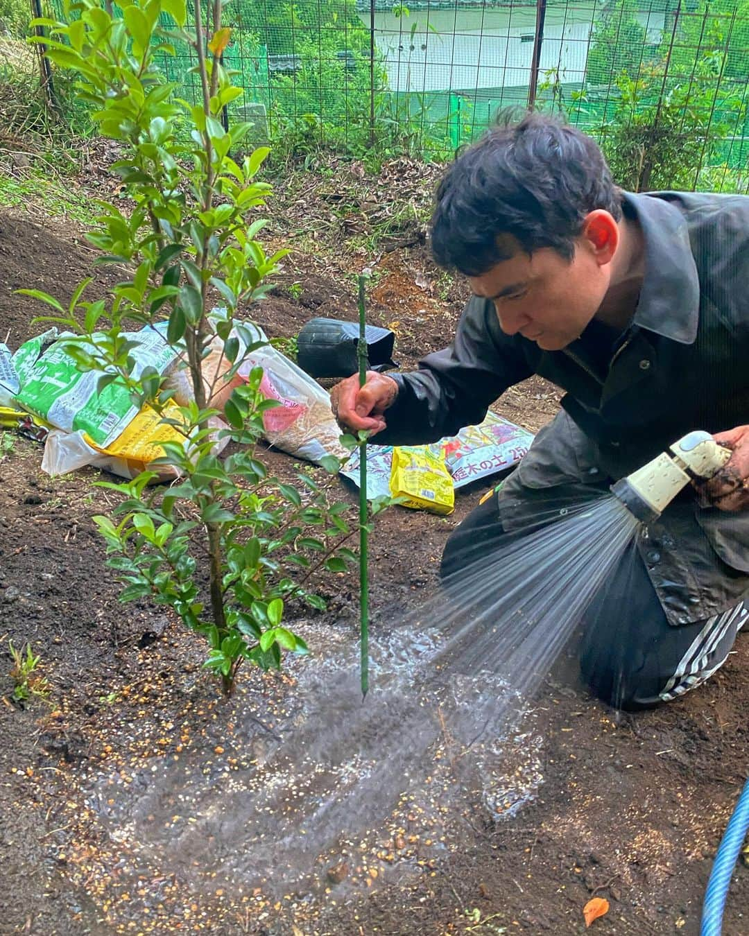 野口健さんのインスタグラム写真 - (野口健Instagram)「大月の古民家裏の山で森づくり。 前回は10本程、植えましたが、今日は17本。山なので、笹の根と、石が地中からゴロゴロ。明日は間違いなく身体中が筋肉痛…というかもはら痛い…。イメージでは約100本かな(^^;; 森づくりで1番の醍醐味は土壌作り。色々なものを混ぜ混ぜするとフカフカになる。そこに苗木を植えると「気持ちいい！！！」って表情を見せてくれるので、嬉しいな。  森づくり、楽しいな。  #野口健#野口健ガーデニング#野口健古民家生活#大月#田舎暮らし」5月25日 23時46分 - noguchiken8848