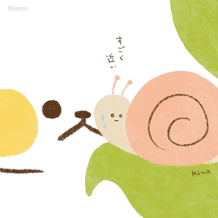 カモさんのインスタグラム写真 - (カモInstagram)「圧 #距離感 #興味津々 #カタツムリ #snails #ウサギタケ #usagitake」5月26日 9時30分 - illustratorkamo