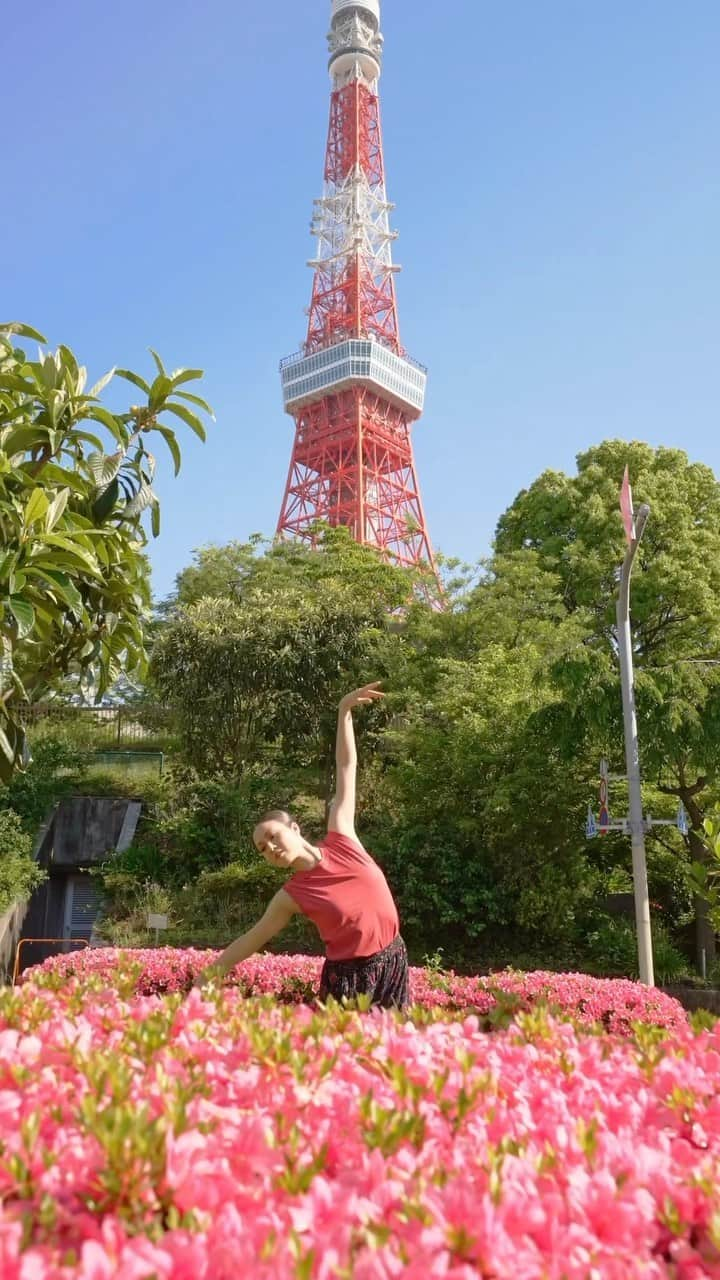 リン・ハッチソンのインスタグラム：「Collaboration with @cinematictokyo 📹💯  Combining some dance & gymnastics with my love for Japan. We went to so many great locations and iconic photo spots! 🗼🇯🇵 Stay tuned… night version coming soon! 🌌  Thank you so much for the awesome shoot @cinematictokyo make sure to follow his page for beautiful scenes from Tokyo & Kyoto 🙌 • • • #japan #visitjapan #japanese #japantrip #traveljapan #onlyinjapan #thisisjapan #日本 #tokyo #tokyotower #tokyostation #dance #rhythmicgymnastics」