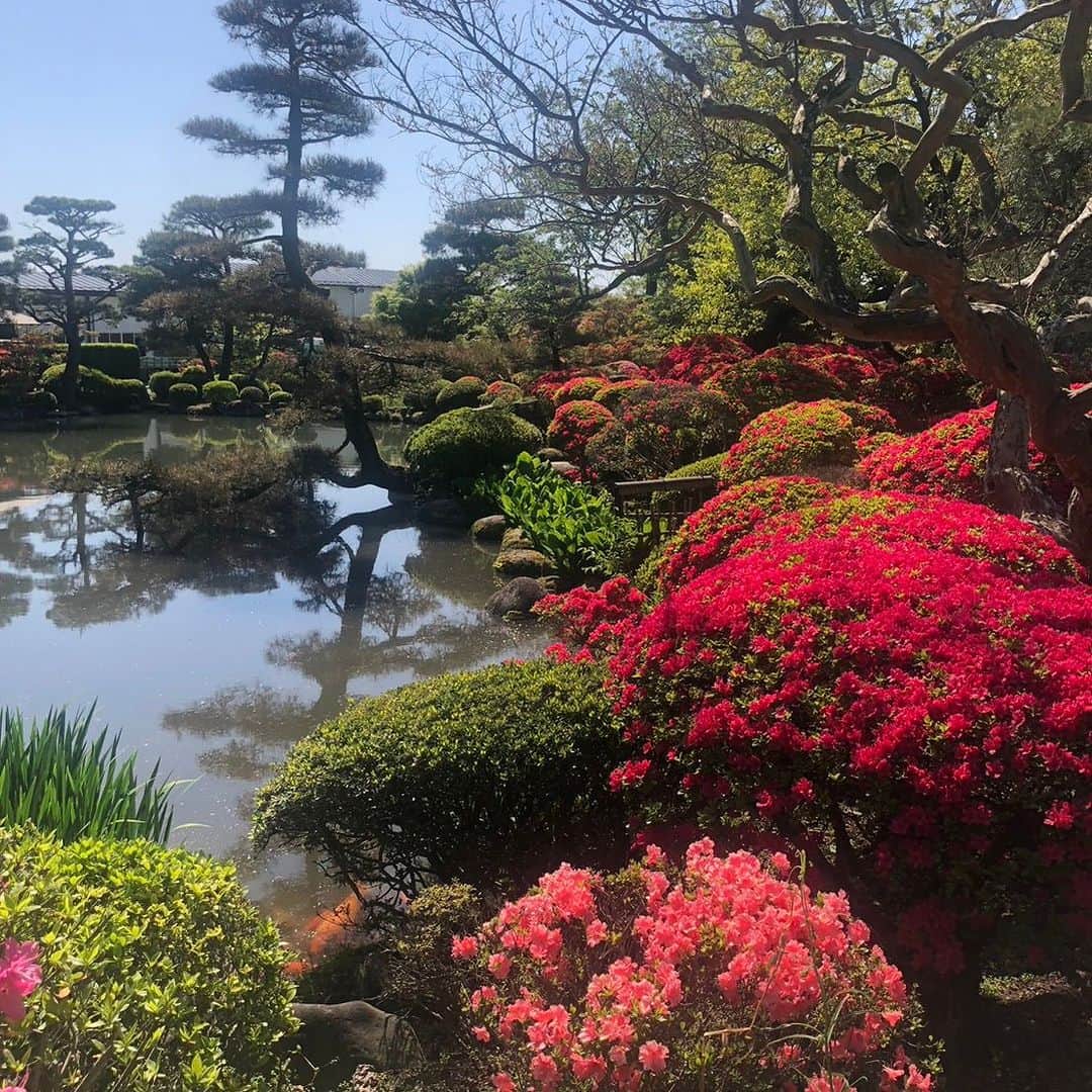福島県さんのインスタグラム写真 - (福島県Instagram)「【ますつり公園（西郷村）】  西郷村にある「ますつり公園」の6つの釣り池には、大小さまざまなサイズのますが泳いでいます。園内では餌付きの釣り竿がレンタルでき、手ぶらの方や初心者の方でも安心して釣り体験に挑戦できます。  釣ったばかりの新鮮なますは、園内にある「にじます亭」で調理してもらうことができ、店内でいただけます。ます釣りをしていない方も刺身や塩焼き、フライなど、おいしいますを味わうことができるので、ぜひお召し上がりください。  園内には水と緑を巧みに配置した日本庭園もあるので、食べた後はゆっくりと自然を眺めながら散歩するのもいいかもしれませんね。  #ます釣り公園 #ます釣り #ます #西郷村 #福島県 #nishigovillage #fukushima #RealizeFukushima #NotADreamFukushima #ひとつひとつ実現するふくしま」5月25日 17時00分 - realize_fukushima