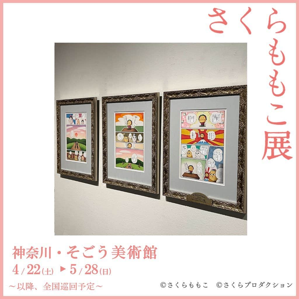 さくらももこスタッフのインスタグラム：「さくらももこ展_横浜🌸、最終週は平日もたくさんの方にご来場いただいています。 様々な角度からさくらももこの世界を表現した今展覧会、皆さんそれぞれのさくらももこを感じていただければ嬉しいです✨  横浜会場は5月28日(日)までの開催です！  #さくらももこ #ちびまる子ちゃん #コジコジ #まるコジ #漫画 #アニメ #イラスト #エッセイ #さくらももこ展 #横浜 #そごう美術館 #閉幕まであと4日」