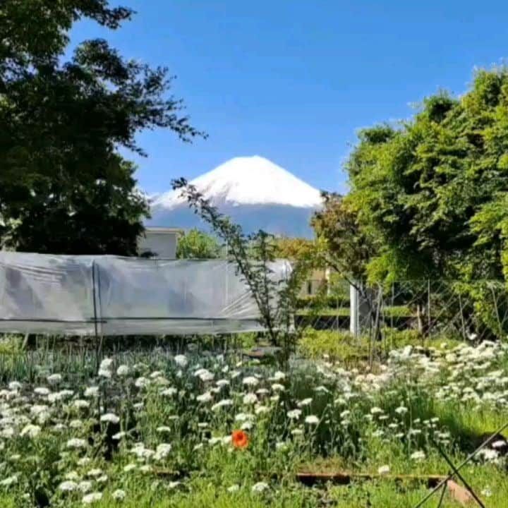 綾小路きみまろのインスタグラム