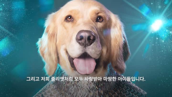 ダニエル・ヘニーのインスタグラム：「Come see beautiful portraits of my Juliette and other dogs rescued by @hsikorea from the dog meat industry in South Korea. May 28-June 1 at the Seoul Metro Art Center, Gyeongbokgung Station. The Beyond Prejudice exhibition will inspire you, showing the resilience of survivors like my Juliette.  Meet photographer @sophiegamand and my friends at HSI/Korea and learn more about their work to end the dog meat industry in South Korea. #EndDogMeat   이번에 제가 오랫동안 응원해오던 한국HSI에서 개식용 반대 캠페인, ‘편견을 넘다’, 사진전을 개최합니다. @HSIKorea 는 사진작가 @SophieGamand 와 함께 개 식용 농장에서 구조된 개들의 아름다움과 회복력을 사진으로 표현했습니다. 저희 줄리엣도 사진전에 등장하는 구출견들 중 하나입니다.     혹시 전시 기간 중에 (5월 28일부터 6월 1일) 서울에 계시면, 경복궁역에 있는 서울메트로미술관에 들러, 전시회를 구경해 보세요. 구출견 그레그, 배, 자유, 위니 그리고 코멧은 그들의 삶에서 가장 힘들었던 순간을 꿋꿋이 이겨냈습니다. 식용개 농장에서 고통받던 그들이 반려견으로 다시 태어나 보여주는 에너지를 놓치지 마세요! 한국 HSI의 개식용 산업 종식을 위한 활동에 대해서 더 알고 싶으시다면 @HSIKorea 를 방문해 보세요! #EndDogMeat #편견을넘다 #한국HSI #구출견 #개식용반대」