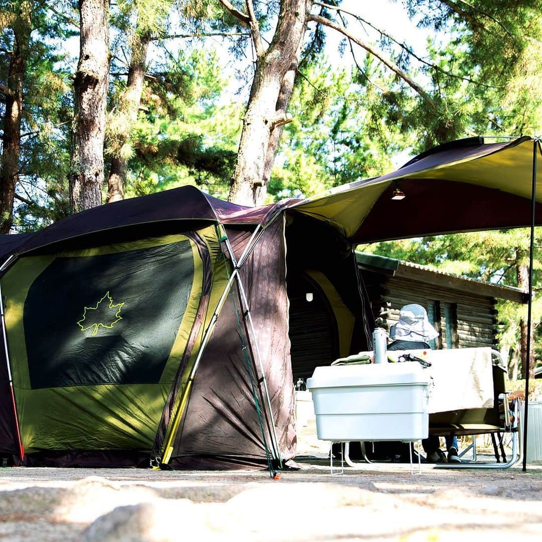 キャンプ情報サイト［ランタン］のインスタグラム：「CAMP SMILE STYLE ／ 私の家族にちょうどいいロゴステント。 ランタンが照らす夜のキャンプサイトが楽しみ ＼ いろんなキャンパーのキャンプスタイルを現地取材と一般キャンパーからの投稿で数多く掲載してます。 . . 詳しくは @lantern.camp webサイトをご覧ください . . #camp #camping #camplife #outdoor #travel #trip #lantern_smile #キャンプ #キャンプ用品 #アウトドア #テント #自然 #旅行 #キャンプ初心者 #キャンプ好きな人と繋がりたい #アウトドア好きな人と繋がりたい #camper #外遊び #キャンプスタイル #マイアミ浜オートキャンプ場 #ファミリーキャンプ #ファミキャン #LOGOS #ロゴス #Coleman #コールマン #ワンマントルランタン #クーラーボックス #ペットとキャンプ #犬連れキャンプ」