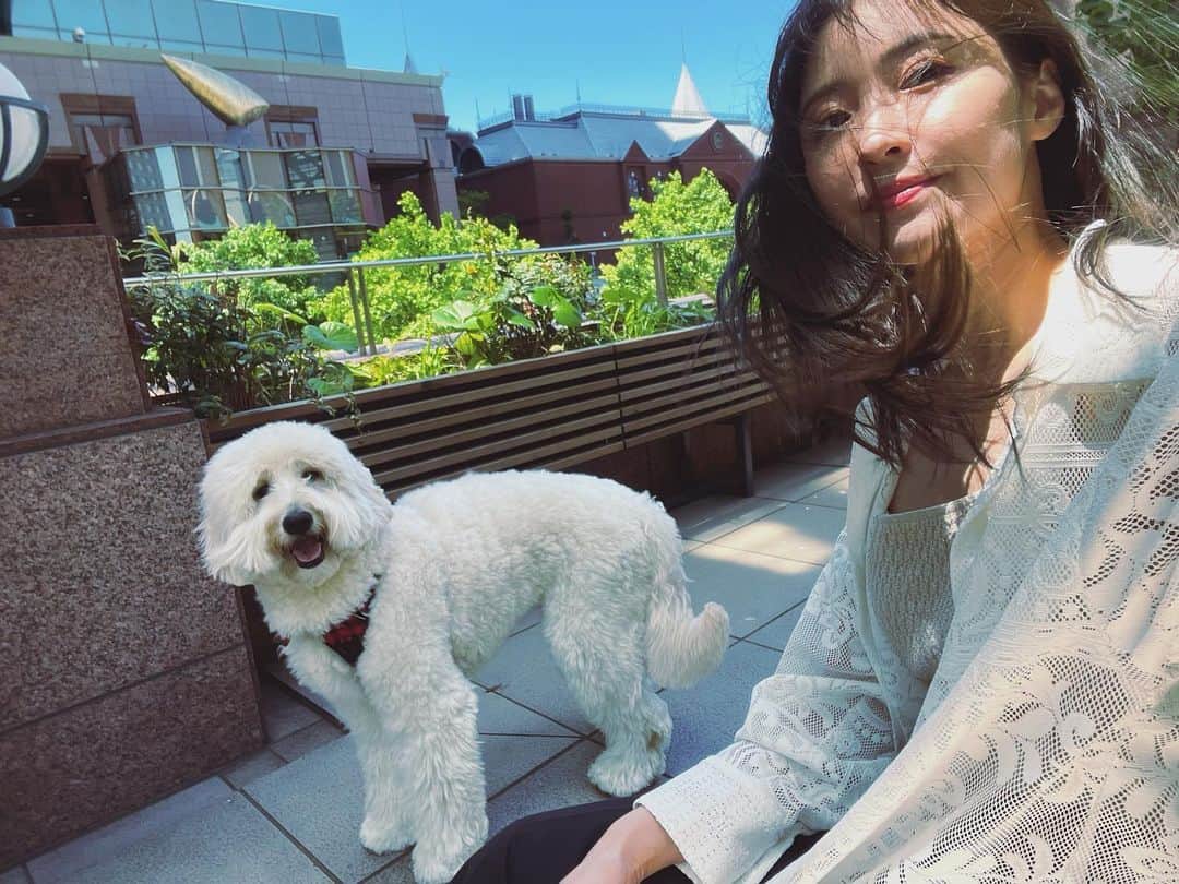 のインスタグラム：「🍃」