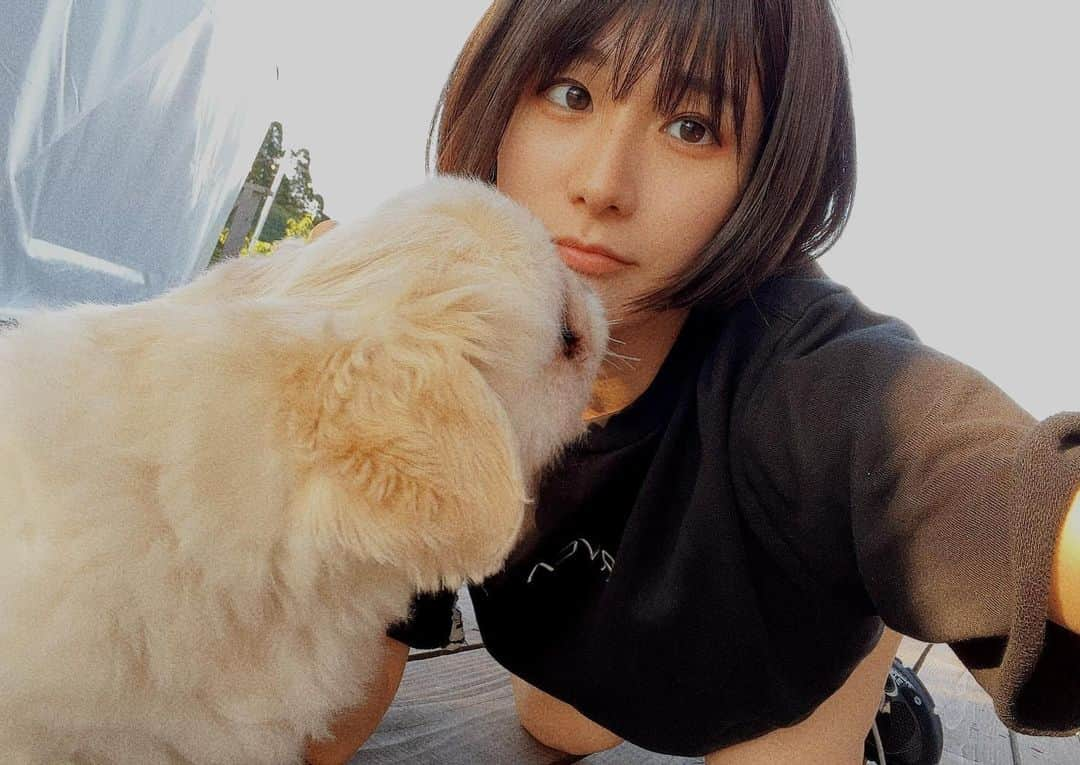 来栖うさこさんのインスタグラム写真 - (来栖うさこInstagram)「. . . ちゃちゃまるう🐶 swipeするとちゃちゃまるが近付いて…🐾  #dog #ペキニーズ #mixdogstagram  #ペキマル #犬のいる暮らし #ドライブ #犬とキャンプ #グランピング #Camp #ショートヘア #ふともも #ふとももがチャームポイント  #車でお出かけ #ちゃちゃまる #japanesegirl」5月25日 18時20分 - kurusu_usako