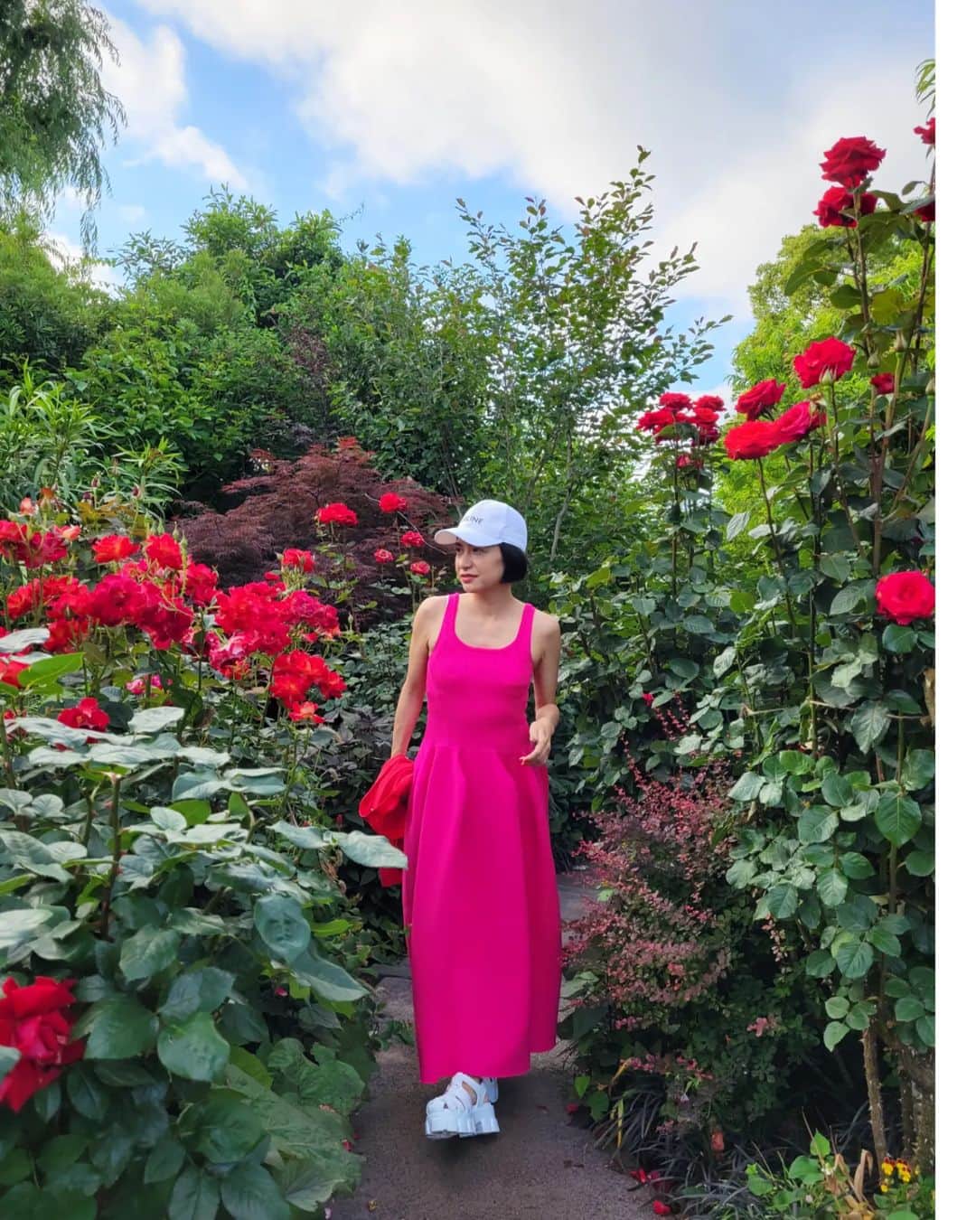 三喜本惠美さんのインスタグラム写真 - (三喜本惠美Instagram)「・ 保土ヶ谷にあります 横浜ローズガーデンへ行って来ましたよ🌹  園内は天然の薔薇の香りがして良い香りが～🌹  小さなローズガーデンでしたが お散歩をしてお茶をして 自分の好みの薔薇を知る事が出来て良い機会でした🌹 #ローズガーデン #ゾンマーアーベント #トラディション95」5月25日 18時45分 - megumi_mikimoto