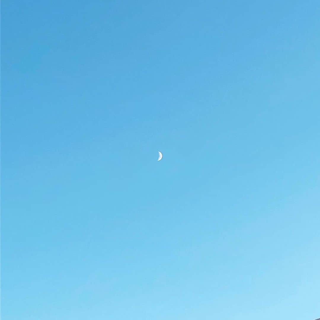 夏目綾のインスタグラム：「これずっと下書きに残ってたから載せとく🌙  綺麗に撮れた時のやつ！  (……なんか……猫が爪研ぎした後に落ちてるやつみたい………！！！！)(こんな綺麗な写真載せて出る感想がそれ？！？)」