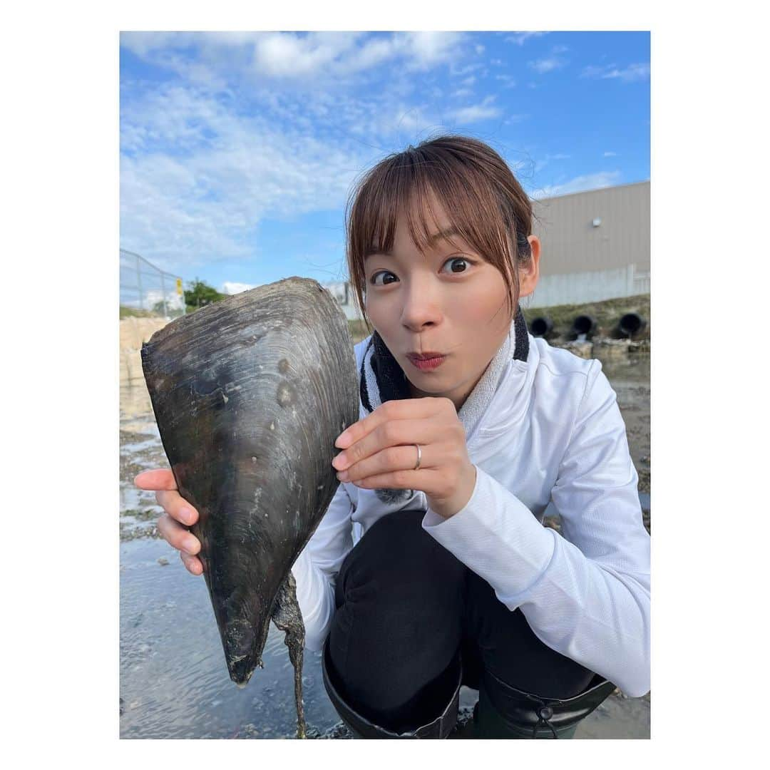 阿部芳美さんのインスタグラム写真 - (阿部芳美Instagram)「田原市から中継でした〜🏖️🐚 年中楽しめる潮干狩り場！  あさりはもちろん、 はまぐりや平貝や、時期によっては牡蠣などもとれるんです〜🦪✨(凄い‼︎)  子供の頃家族で行った潮干狩り以来だったので、 凄く楽しかった…🥹🫶  BBQもできる為、中継後は、 使用した食材をスタッフみんなで美味しく頂きました！😭🙏  美味しい貝を食べると… 🍺飲みたくなりますね〜笑 帰宅後のお楽しみ…😮‍💨💛  #浩漁水産 #潮干狩り #田原市 #あさり #大あさり #bbq」5月25日 19時31分 - yoshimi_abe0410