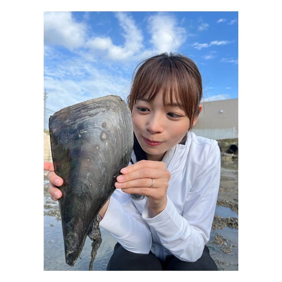 阿部芳美さんのインスタグラム写真 - (阿部芳美Instagram)「田原市から中継でした〜🏖️🐚 年中楽しめる潮干狩り場！  あさりはもちろん、 はまぐりや平貝や、時期によっては牡蠣などもとれるんです〜🦪✨(凄い‼︎)  子供の頃家族で行った潮干狩り以来だったので、 凄く楽しかった…🥹🫶  BBQもできる為、中継後は、 使用した食材をスタッフみんなで美味しく頂きました！😭🙏  美味しい貝を食べると… 🍺飲みたくなりますね〜笑 帰宅後のお楽しみ…😮‍💨💛  #浩漁水産 #潮干狩り #田原市 #あさり #大あさり #bbq」5月25日 19時31分 - yoshimi_abe0410