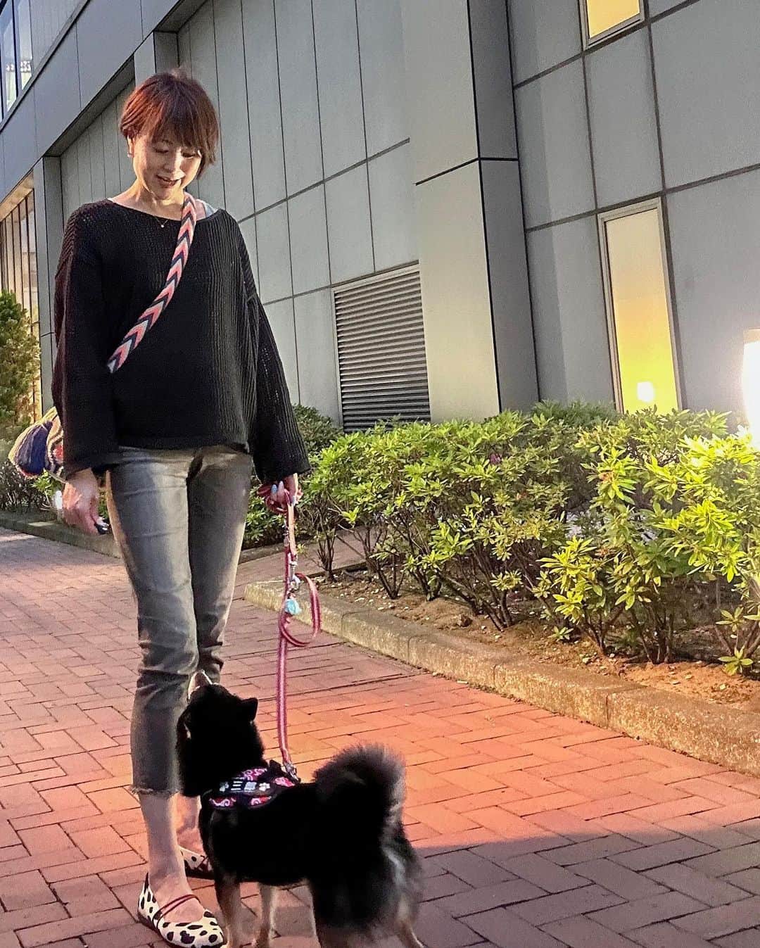岩瀬玲のインスタグラム：「お疲れ様です🥰  今日はオンラインミーティングして そしてそのあとは出版社でミーティング  オンラインは便利だけど リアルな方がやっぱりスピード感が出るよねえ  3ヶ月近く温めてきた企画がやっと 進んできて 知り合いの会社さんも巻き込んで どんどん盛り上がってきました🩵  めっちゃ忙しくて ほんと大変だけど サブとの時間が癒し🩵🩵🩵  最近なんか黒い服が好きで シューズはお気に入りの @e.three.shoes のダルメシアン柄😆  打ち合わせはパソコンとか資料とかたくさん持ってたけど このシューズで楽ちん🩵  #柴犬 #自営業 #いろいろやりたい」